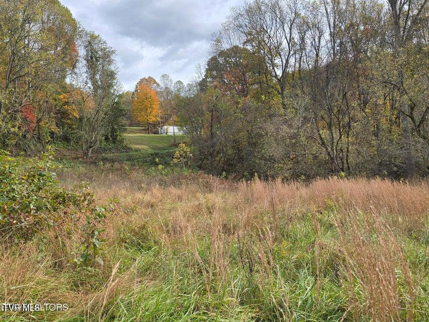 Photo #21: 227 Elihu Road