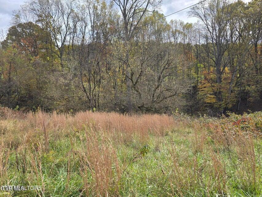 Photo #22: 227 Elihu Road