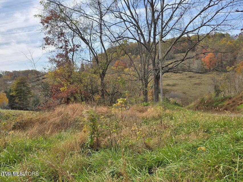 Photo #24: 227 Elihu Road