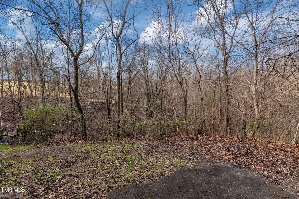 Photo #37: 1828 Avalon Street