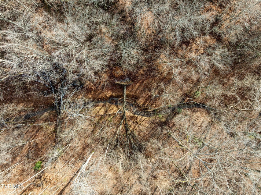 Photo #38: 1828 Avalon Street