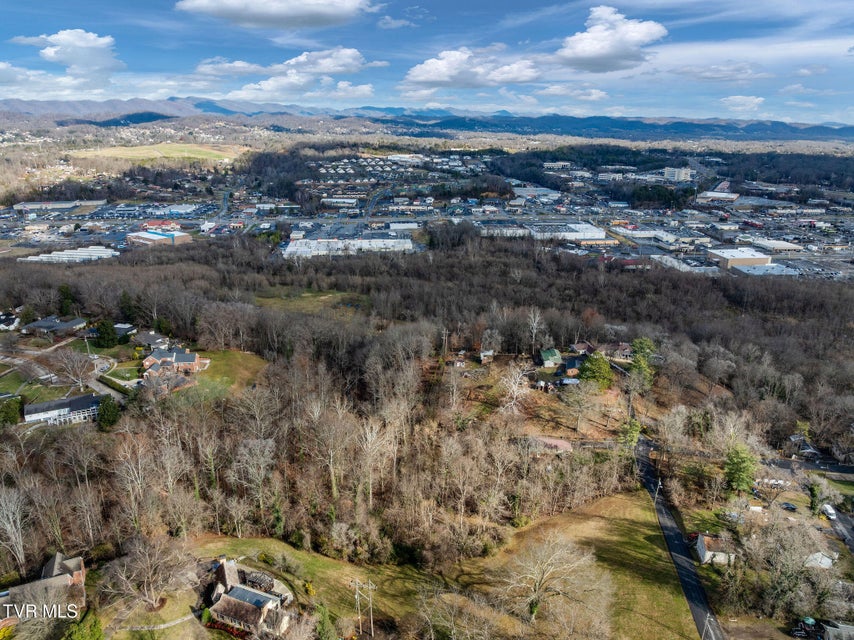 Photo #41: 1828 Avalon Street