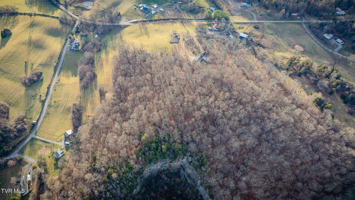 Photo #10: Tbd Henry Lane