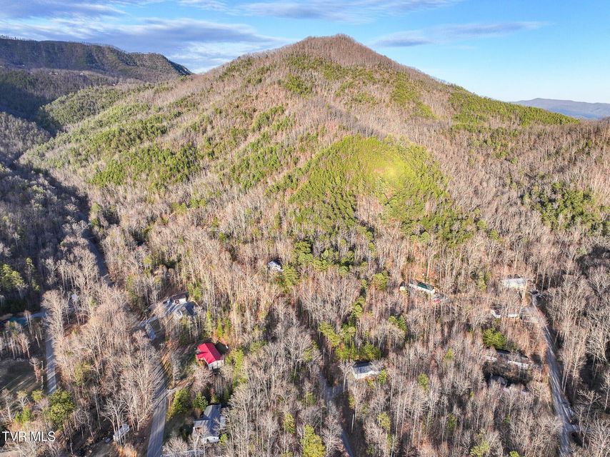 Photo #5: Tbd Black Oak Dr 