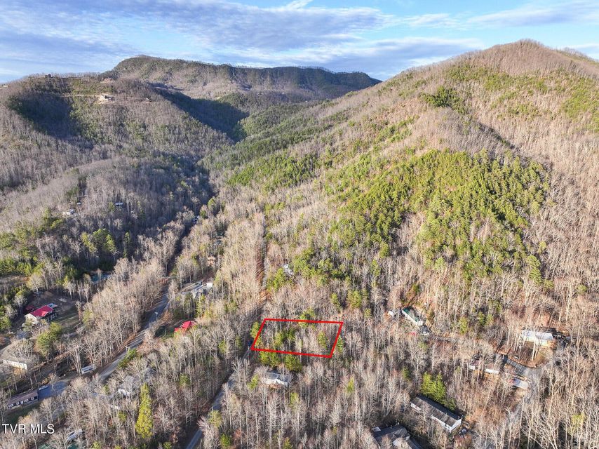 Photo #2: Tbd Black Oak Dr 