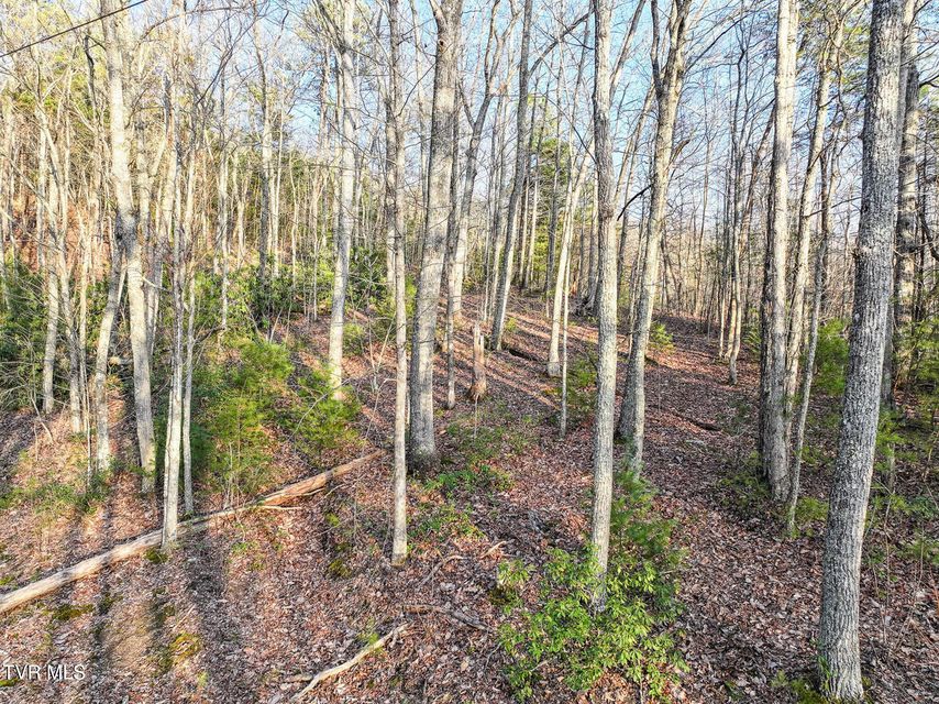 Photo #9: Tbd Black Oak Dr 