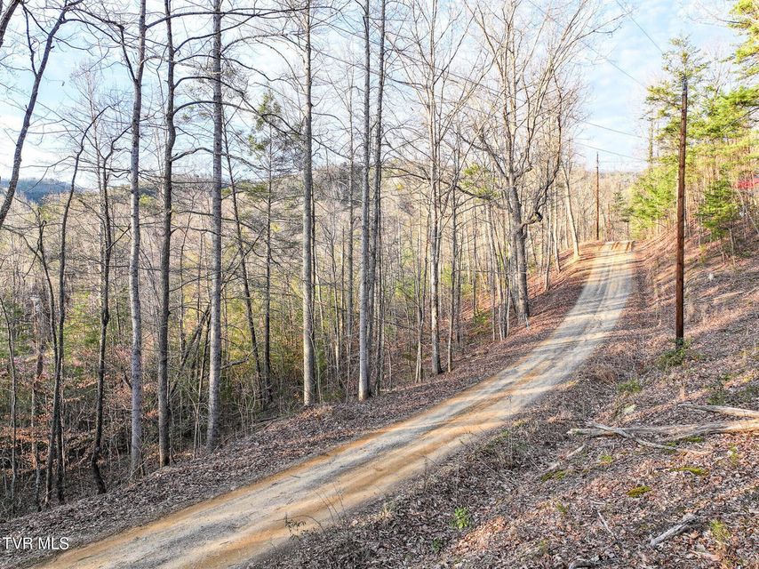 Photo #11: Tbd Black Oak Dr 