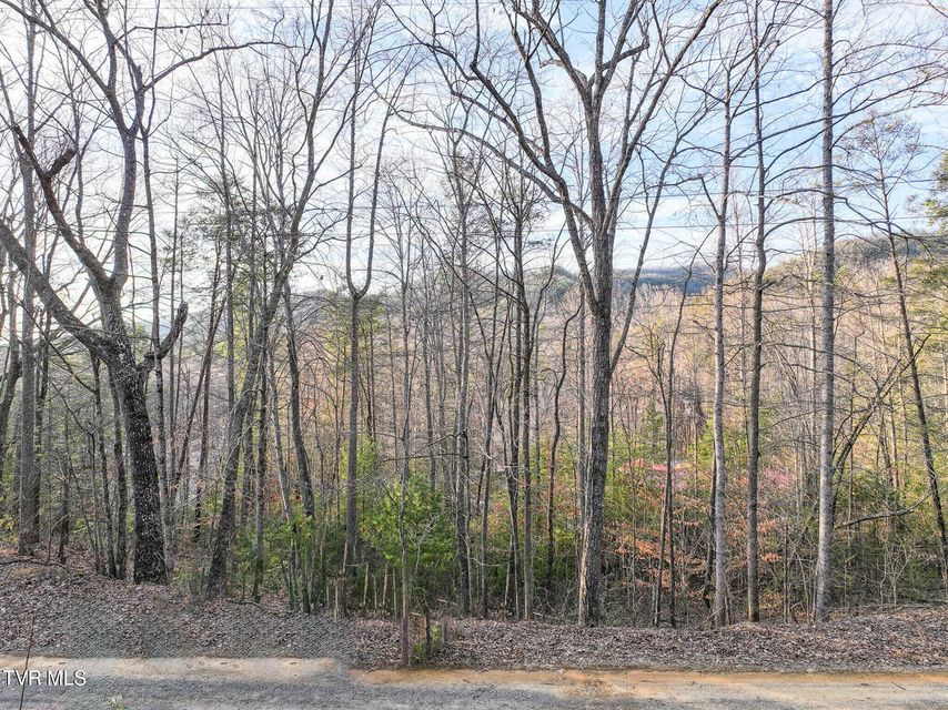 Photo #12: Tbd Black Oak Dr 