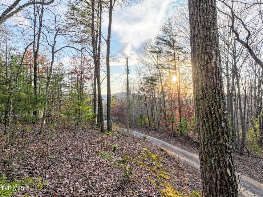 Photo #13: Tbd Black Oak Dr 