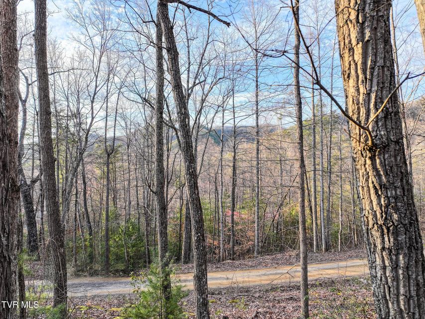 Photo #14: Tbd Black Oak Dr 