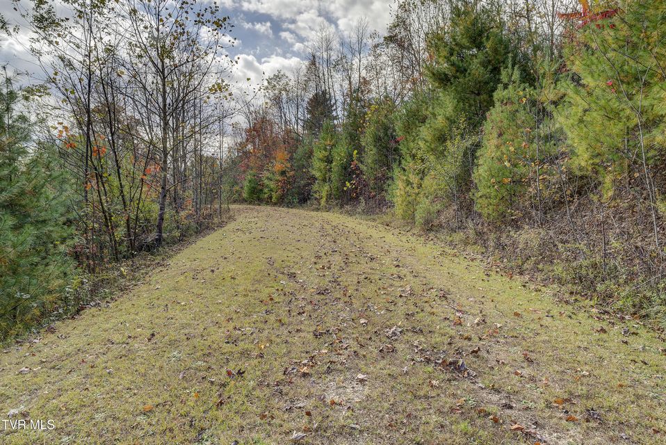 Photo #86: 185 Deer Tracks Circle