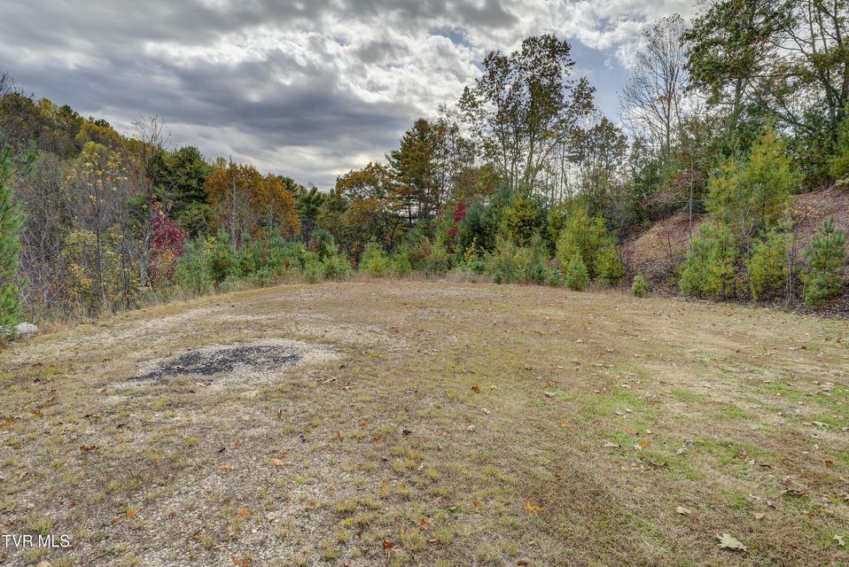 Photo #90: 185 Deer Tracks Circle