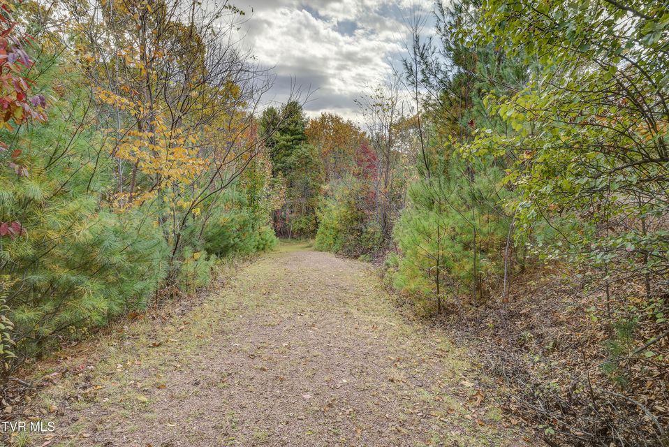 Photo #92: 185 Deer Tracks Circle