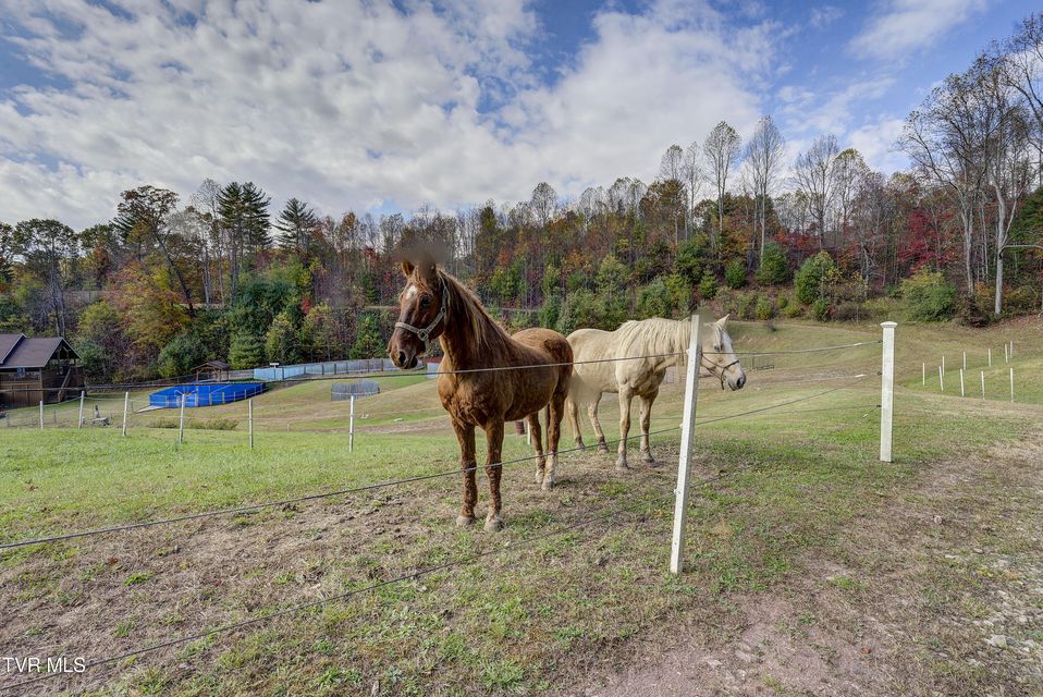 Photo #79: 185 Deer Tracks Circle