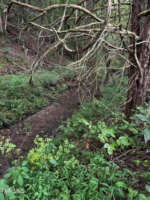 Photo #43: 185 Union Road