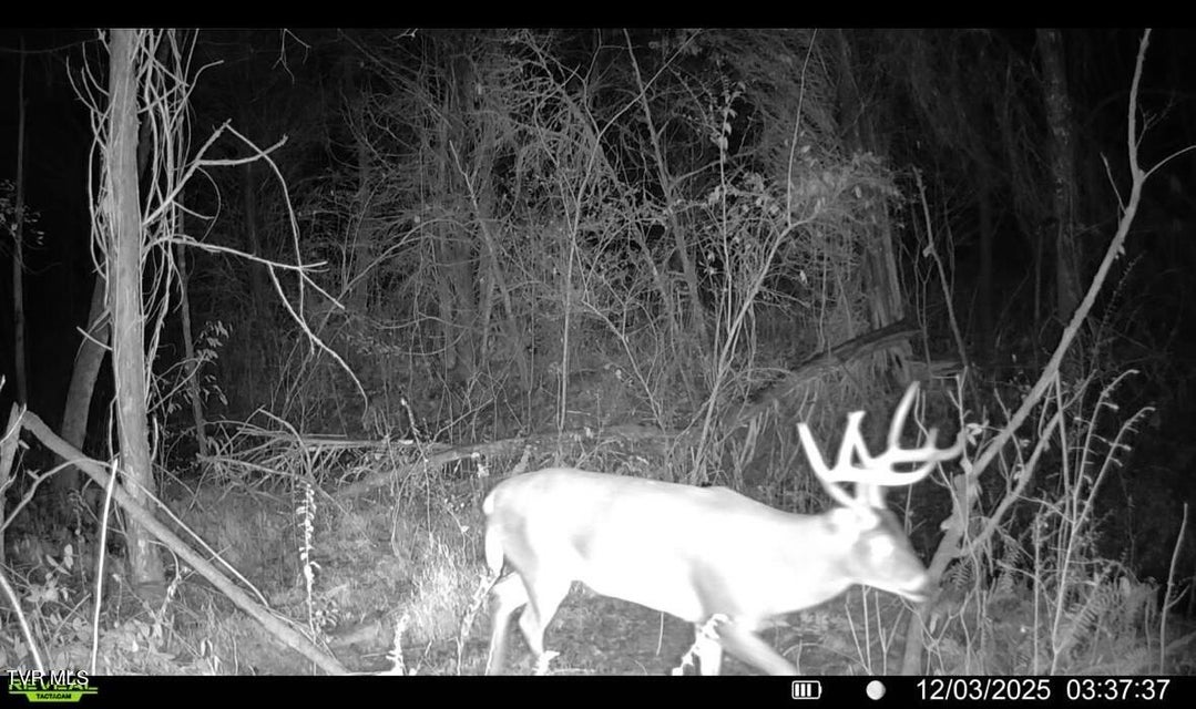 Photo #44: 185 Union Road