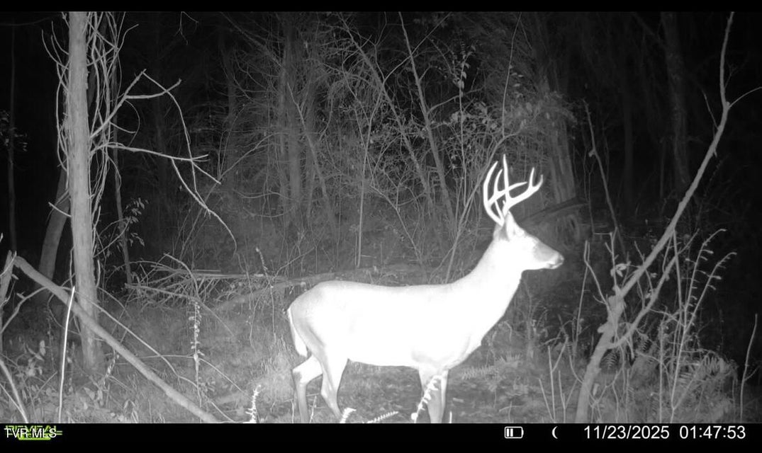 Photo #45: 185 Union Road