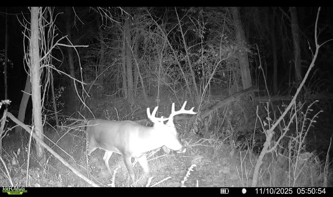 Photo #46: 185 Union Road