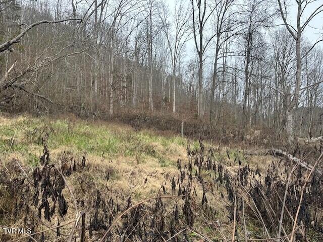 Photo #6: 324 Ocoonita Road