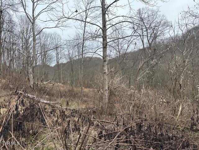 Photo #7: 324 Ocoonita Road