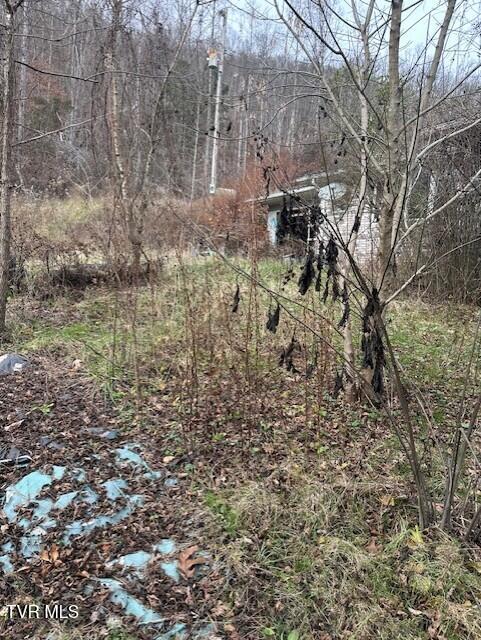 Photo #8: 324 Ocoonita Road