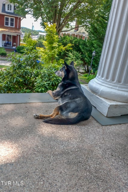 Photo #91: 130 Solar Street