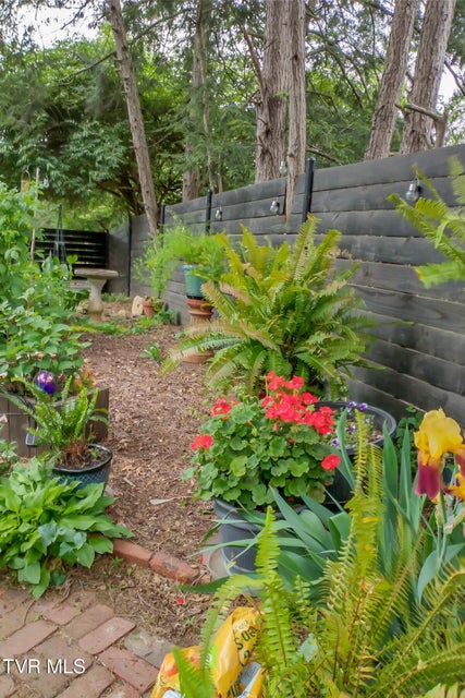 Photo #92: 130 Solar Street