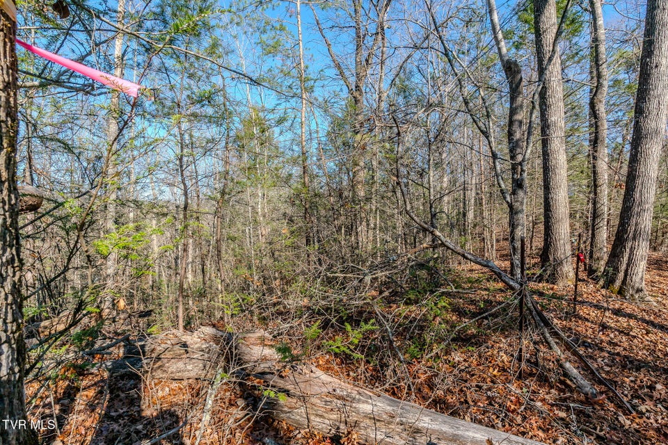 Photo #2: 22r Shady Grove Court