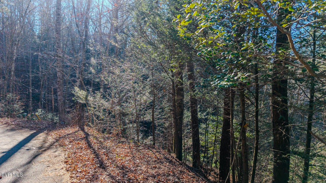 Photo #11: 22r Shady Grove Court