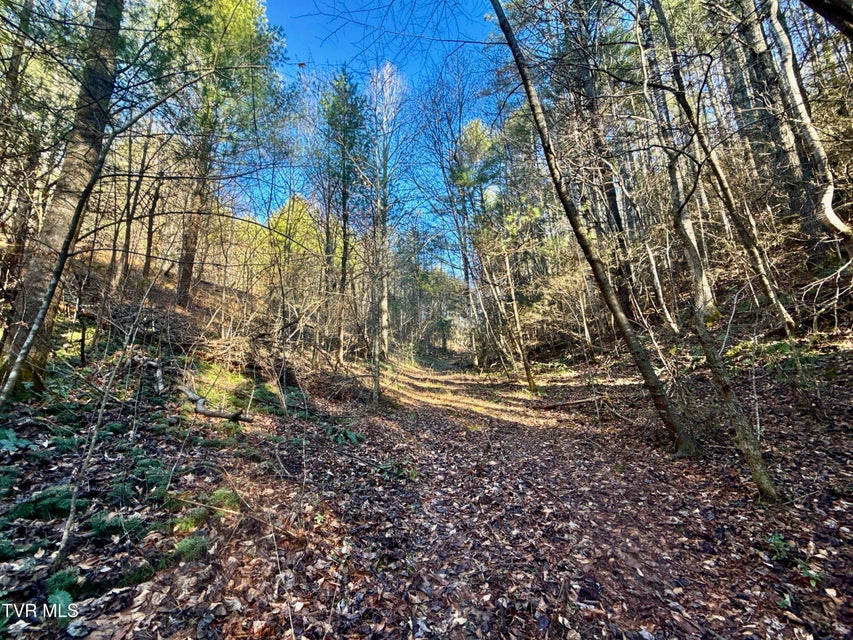 Photo #10: 25.72/Ac Tbd Rollins Road