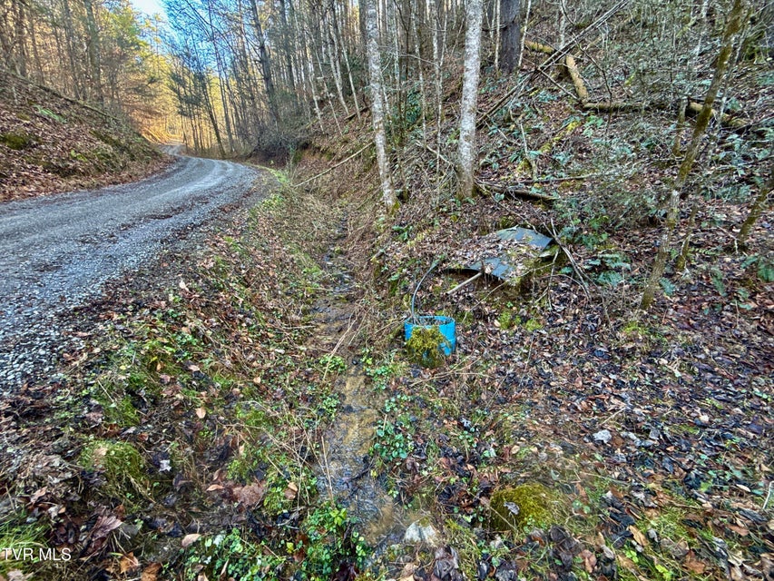 Photo #12: 25.72/Ac Tbd Rollins Road