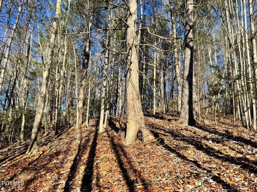 Photo #13: 0 Clear Branch Road