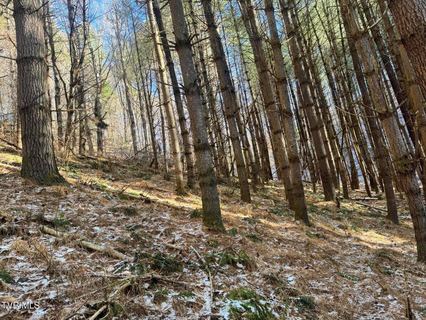 Photo #22: 0 Clear Branch Road