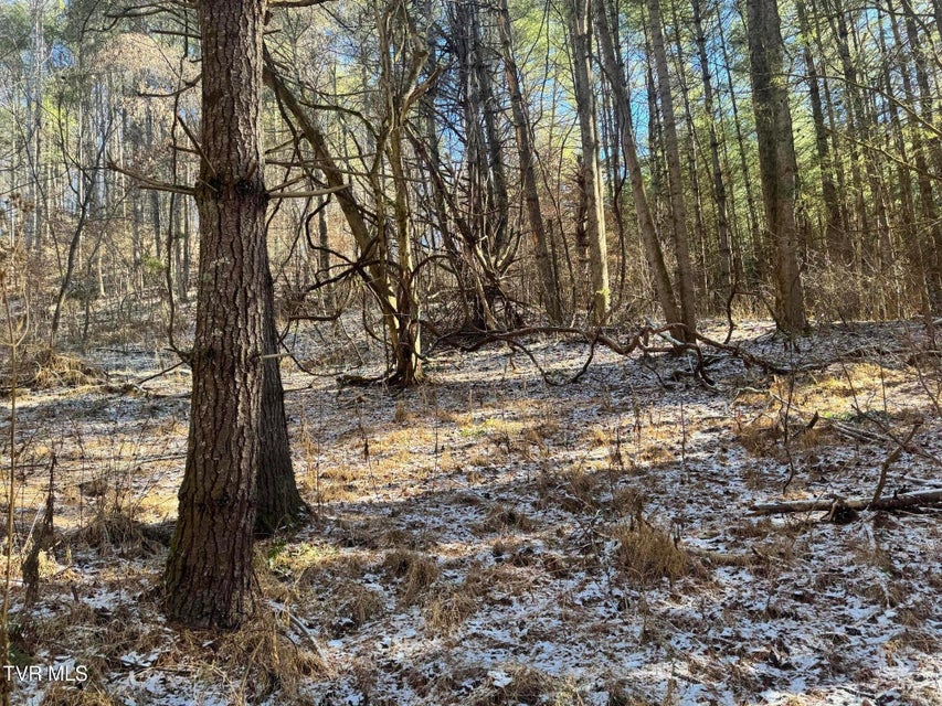 Photo #25: 0 Clear Branch Road