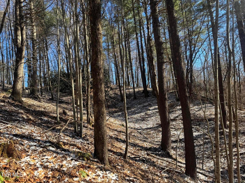 Photo #27: 0 Clear Branch Road