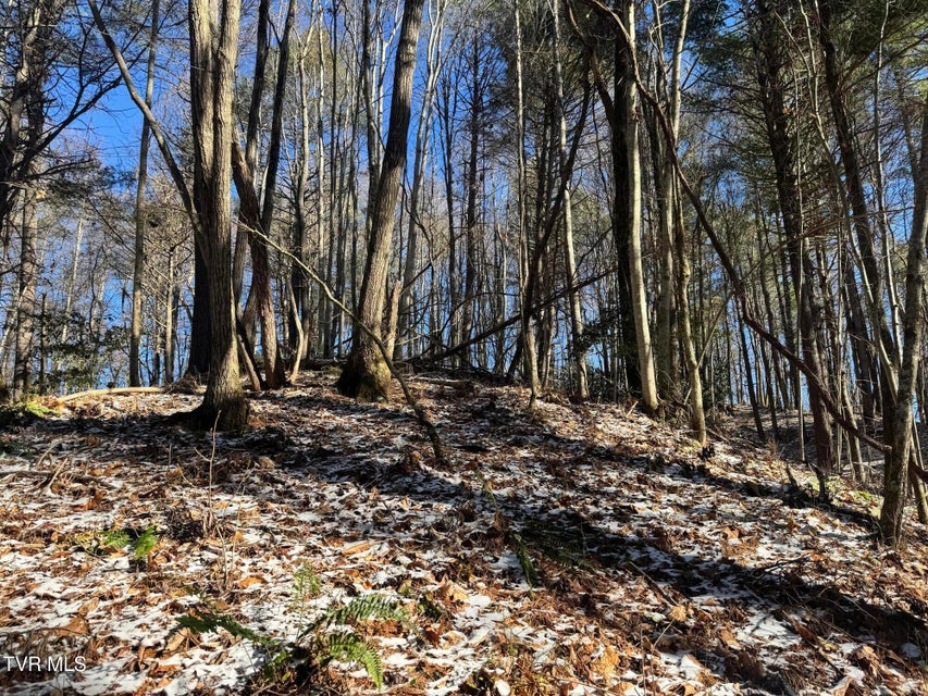 Photo #28: 0 Clear Branch Road