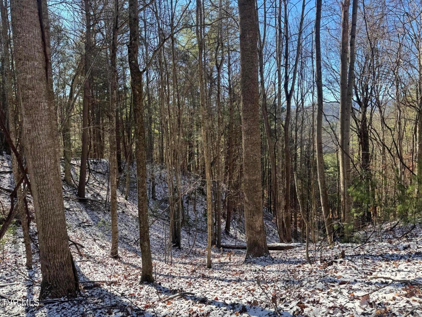 Photo #31: 0 Clear Branch Road