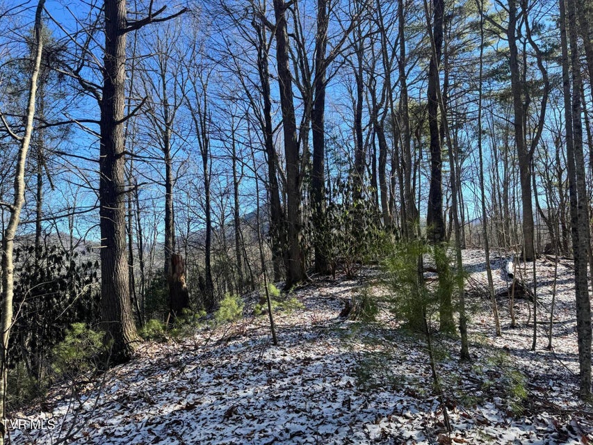 Photo #5: 0 Clear Branch Road