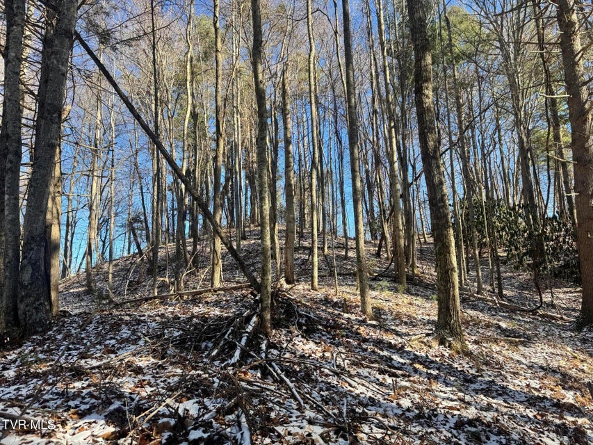 Photo #33: 0 Clear Branch Road