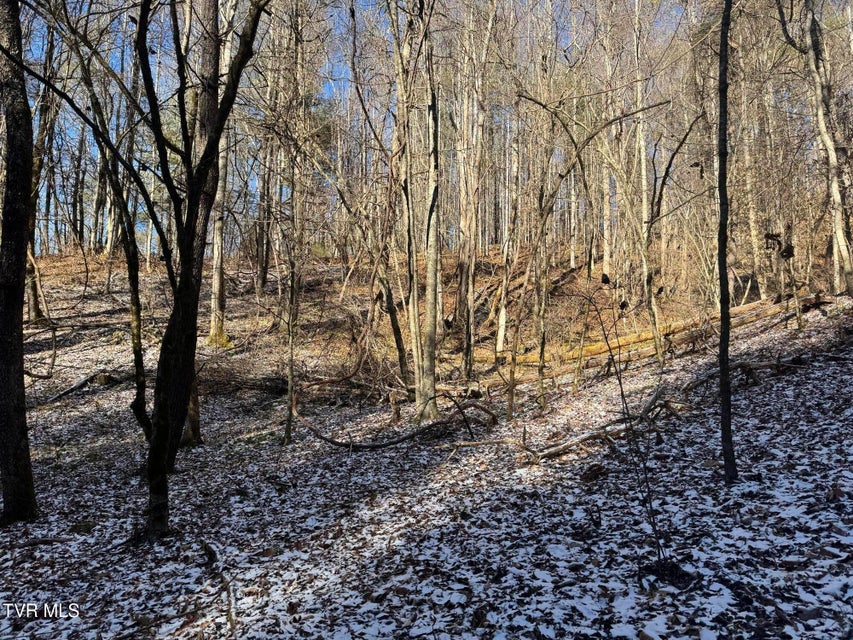 Photo #39: 0 Clear Branch Road