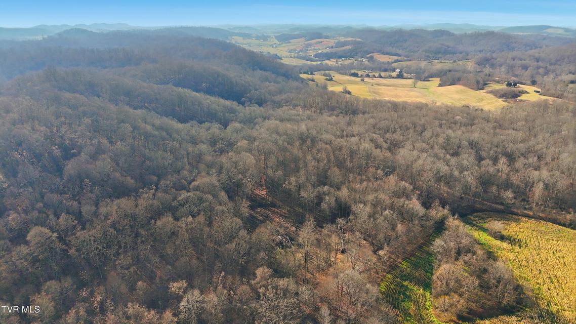 Photo #9: 270 Freedom Road