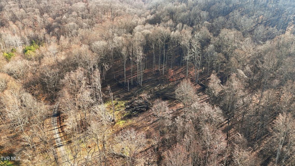 Photo #12: 270 Freedom Road