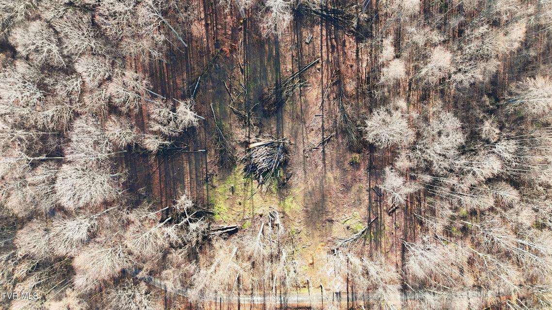 Photo #13: 270 Freedom Road