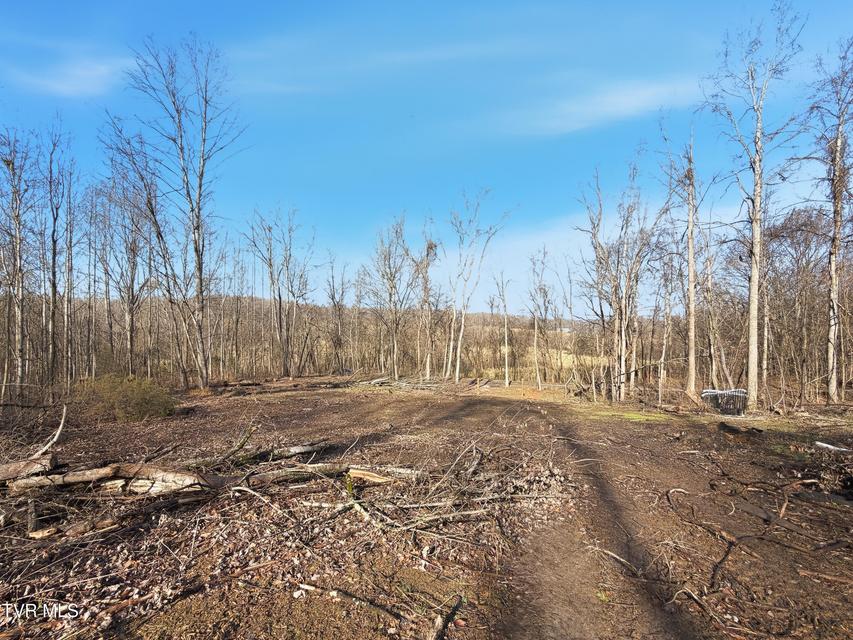 Photo #3: 270 Freedom Road