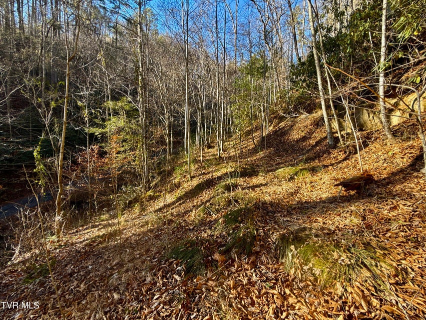 Photo #4: 4.31/Ac Big Creek Road