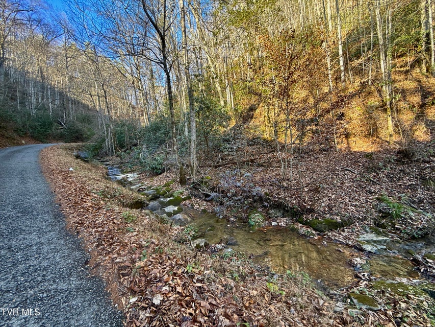 Photo #6: 4.31/Ac Big Creek Road