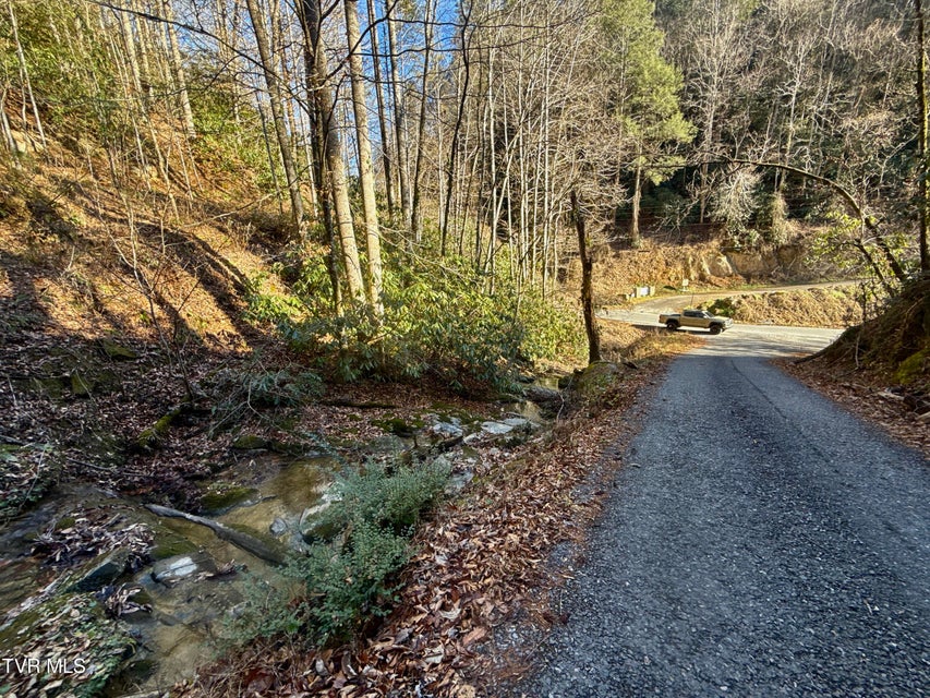 Photo #7: 4.31/Ac Big Creek Road