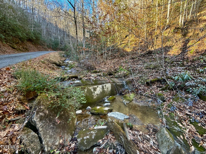 Photo #8: 4.31/Ac Big Creek Road