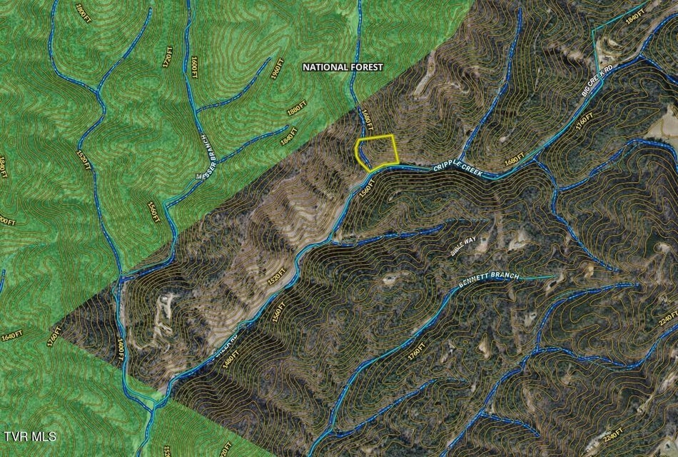 Photo #14: 4.31/Ac Big Creek Road