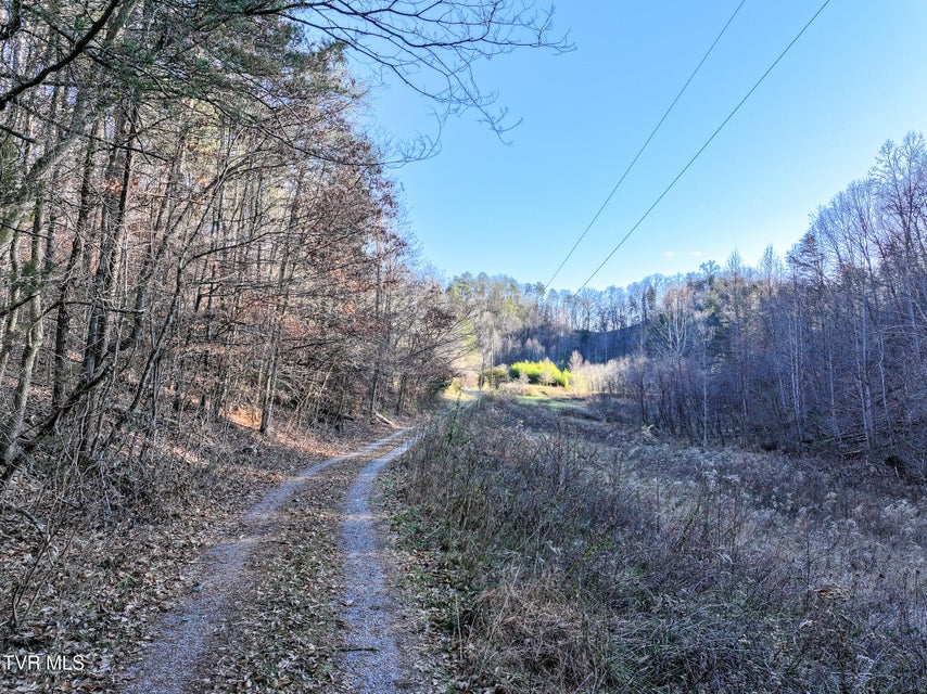 Photo #9: 604 Sandy Valley Road